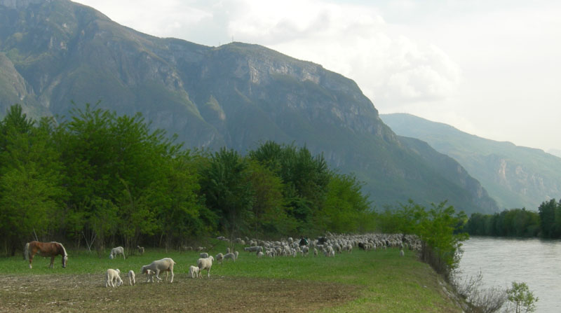 una giornata diversa dal solito....