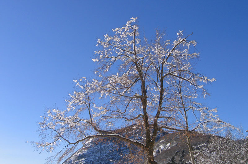 escursione sul Monte Brento....