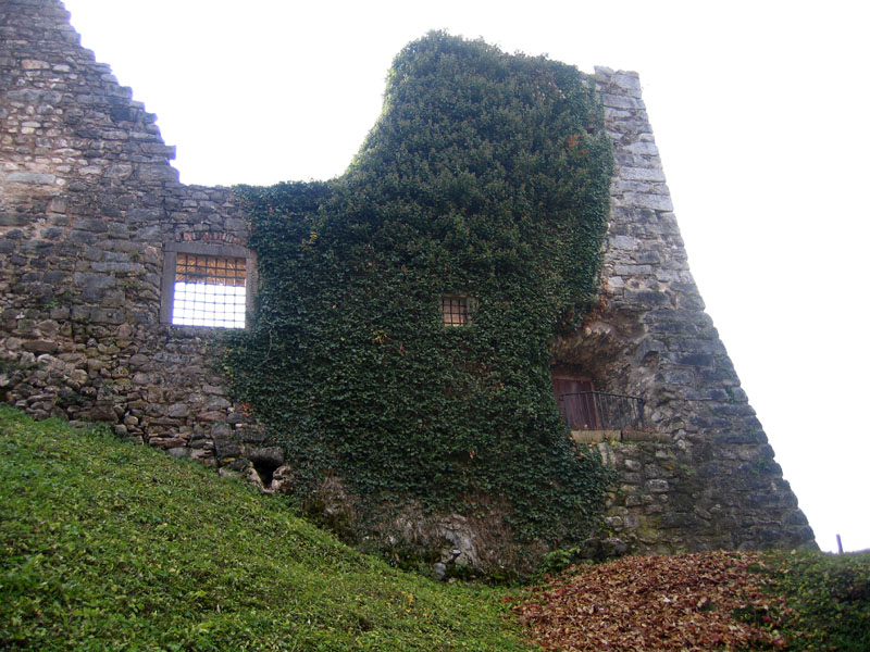 Castelli,Torri e Palazzi.....del Trentino