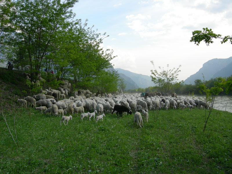 una giornata diversa dal solito....