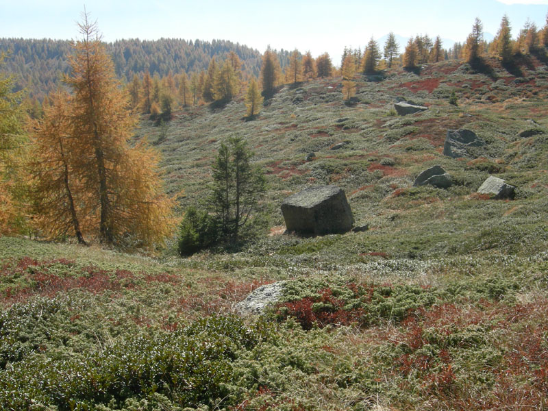 Sette Laghi....escursione del 12/10/2008