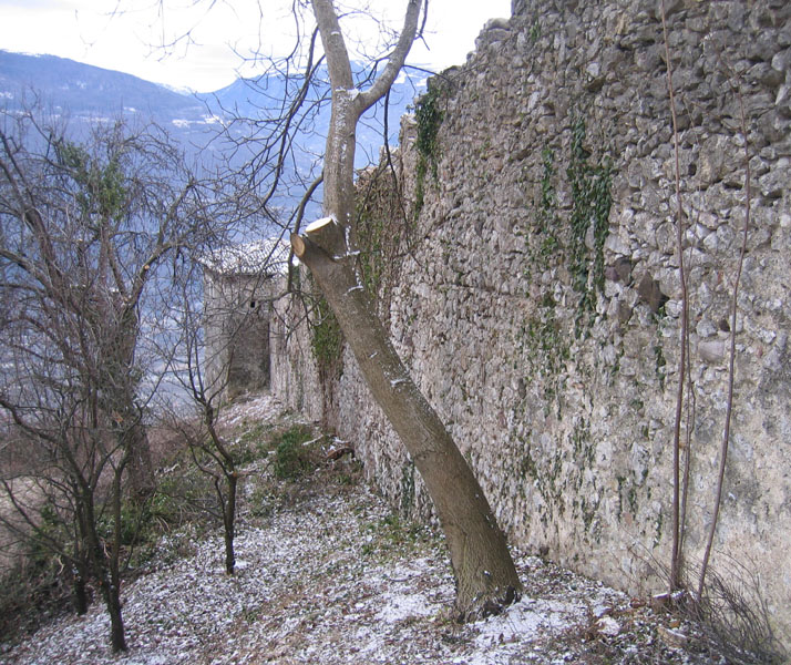 Castelli,Torri e Palazzi.....del Trentino