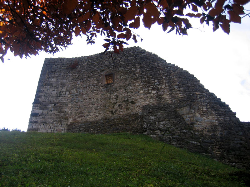 Castelli,Torri e Palazzi.....del Trentino