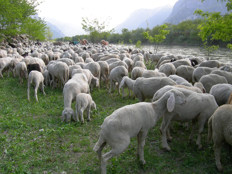 una giornata diversa dal solito....