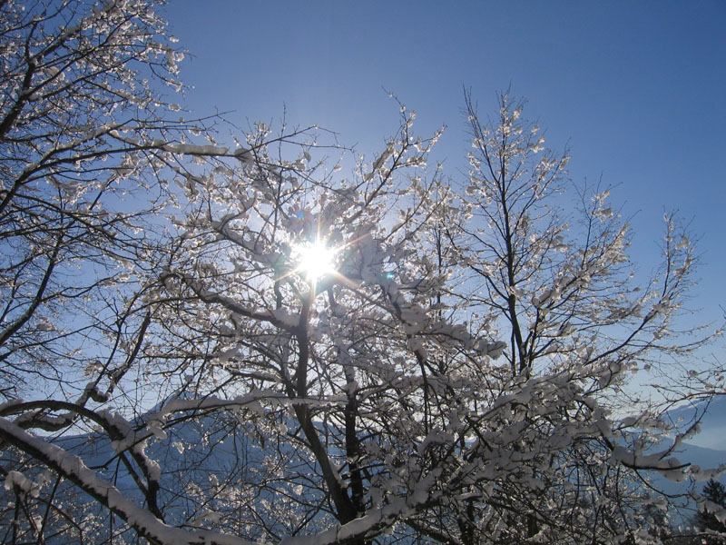 escursione sul Monte Brento....