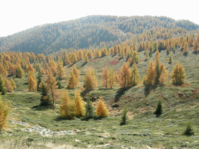 Sette Laghi....escursione del 12/10/2008