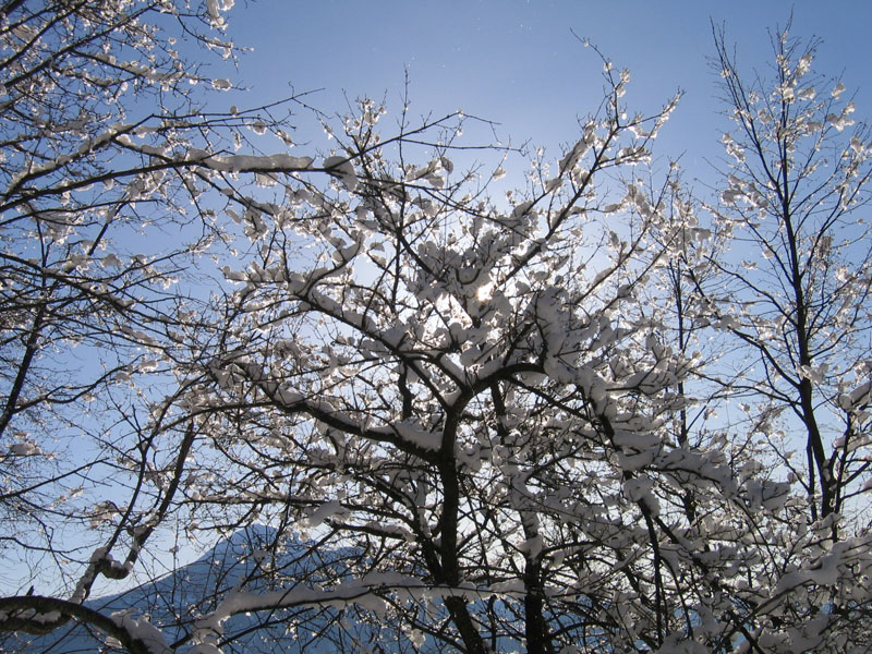 escursione sul Monte Brento....