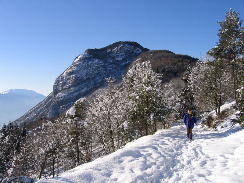 escursione sul Monte Brento....