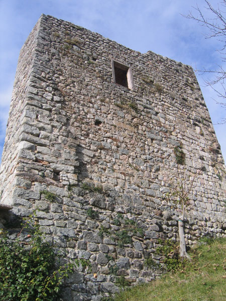 Castelli,Torri e Palazzi.....del Trentino