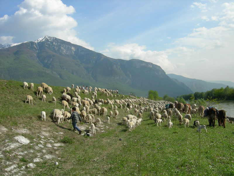 una giornata diversa dal solito....