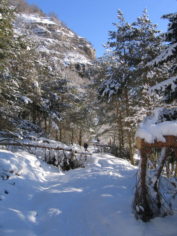 escursione sul Monte Brento....