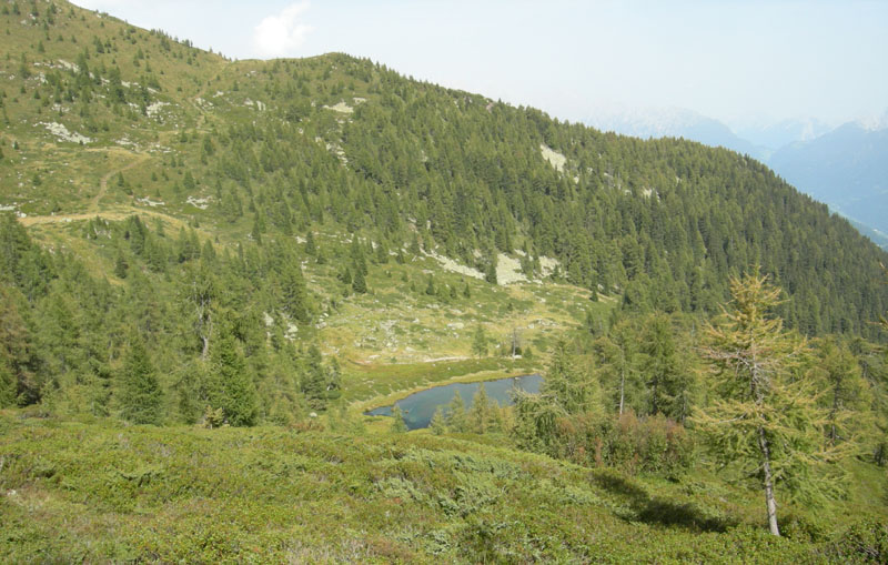 Laghi.......del TRENTINO