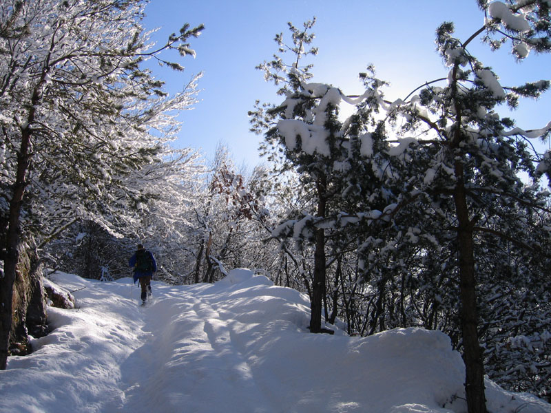 escursione sul Monte Brento....