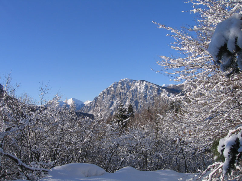 escursione sul Monte Brento....