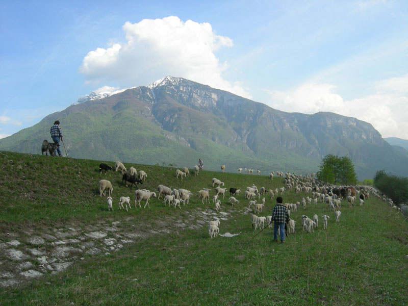 una giornata diversa dal solito....