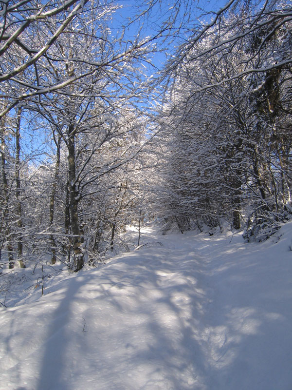 escursione sul Monte Brento....