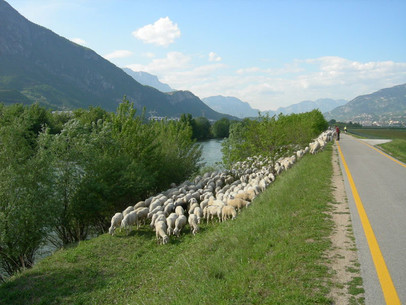 una giornata diversa dal solito....