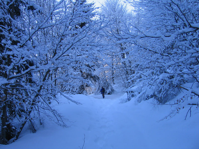 escursione sul Monte Brento....