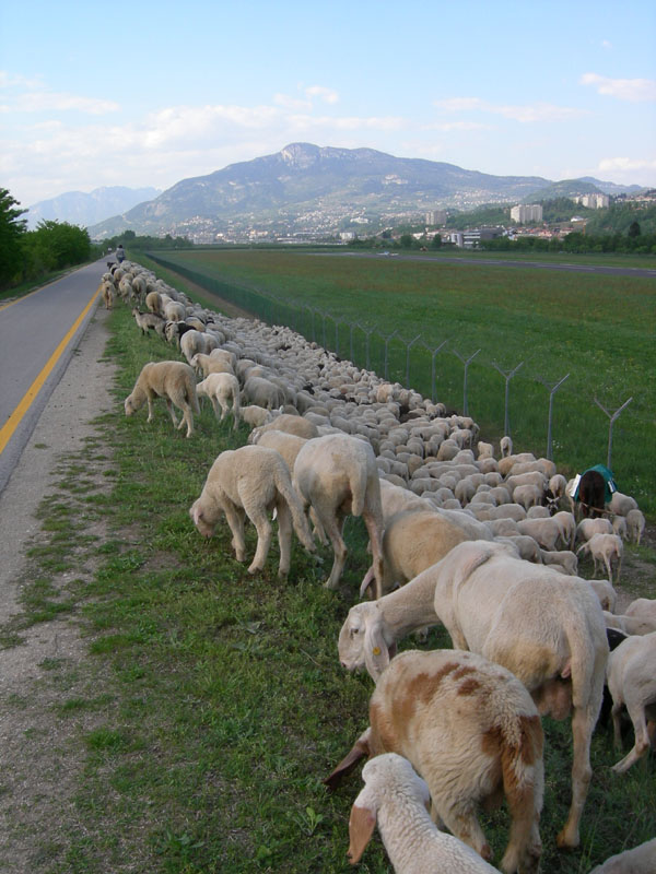 una giornata diversa dal solito....