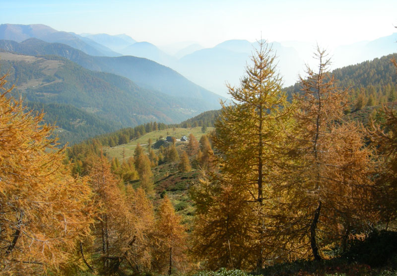 Sette Laghi....escursione del 12/10/2008