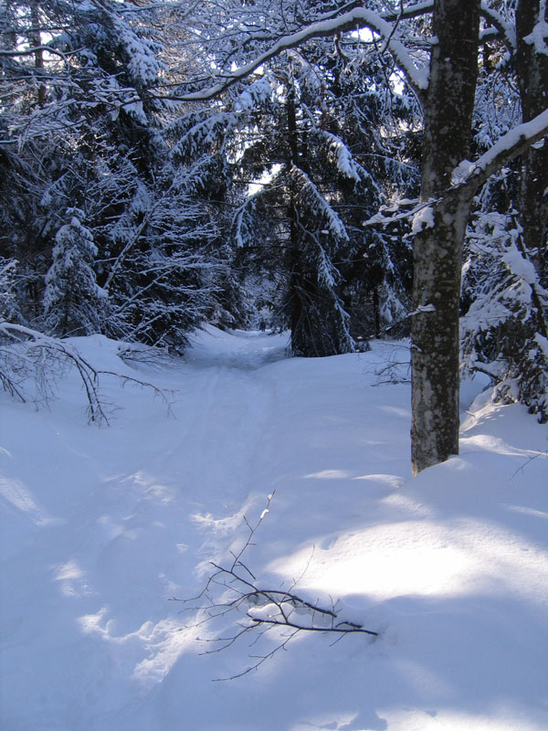 escursione sul Monte Brento....