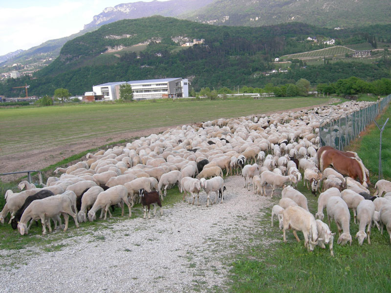 una giornata diversa dal solito....