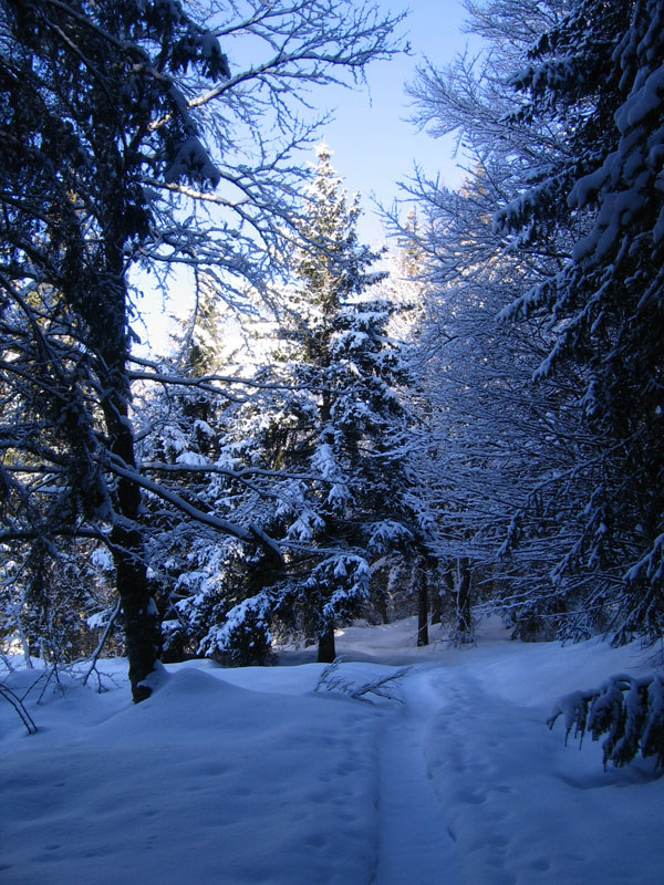 escursione sul Monte Brento....