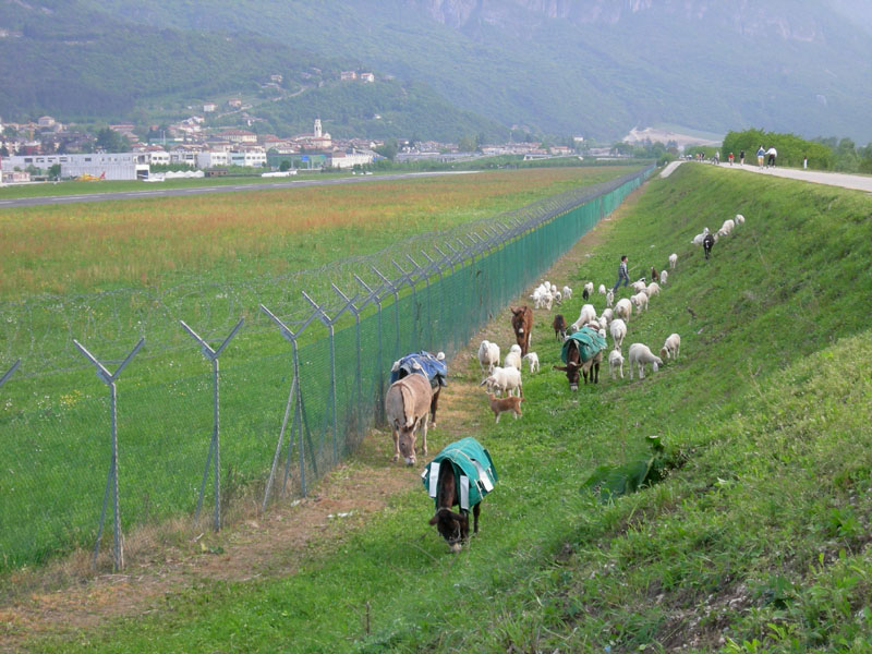 una giornata diversa dal solito....