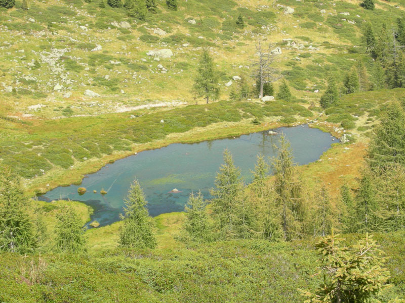 Laghi.......del TRENTINO