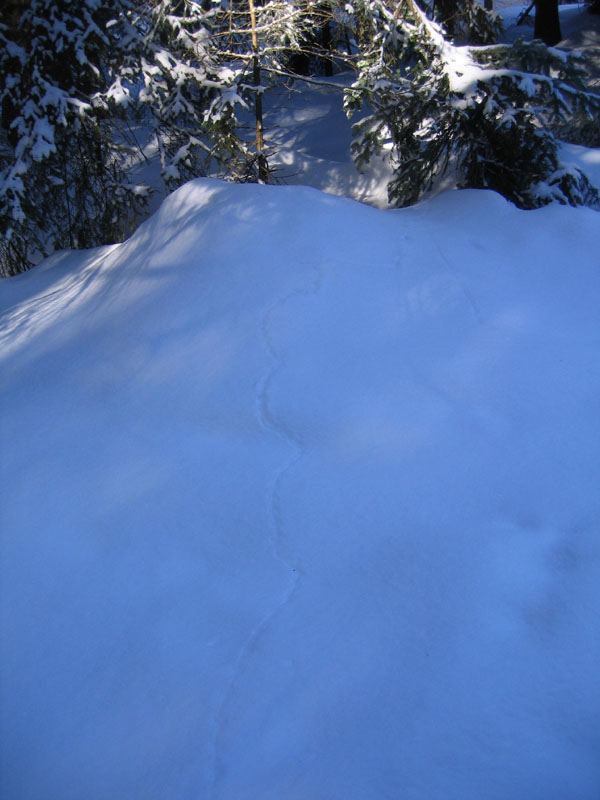 escursione sul Monte Brento....