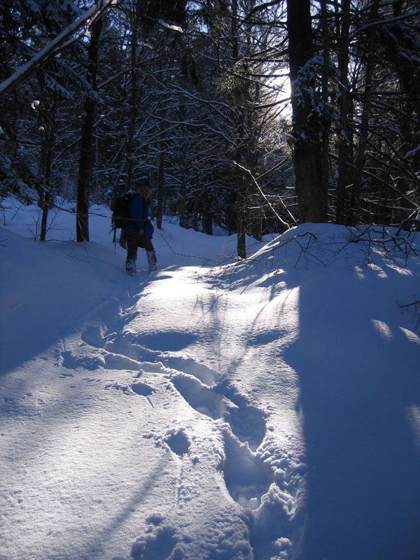 escursione sul Monte Brento....