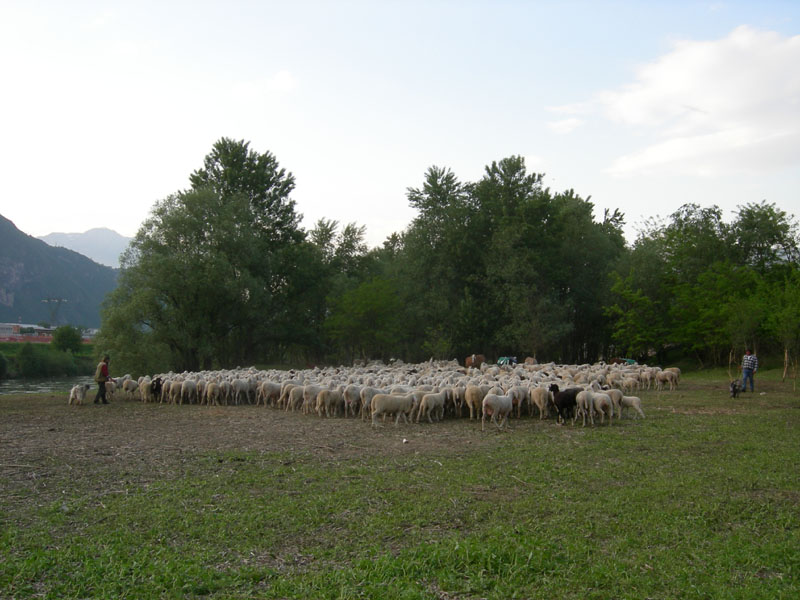 una giornata diversa dal solito....