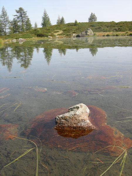 Laghi.......del TRENTINO