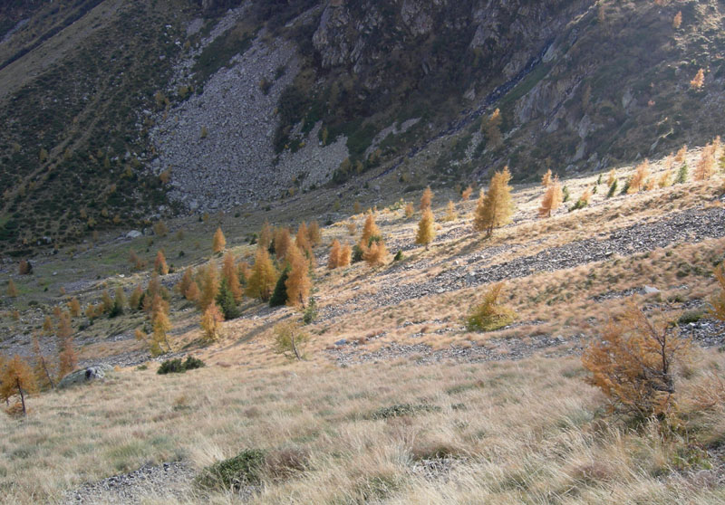 Sette Laghi....escursione del 12/10/2008