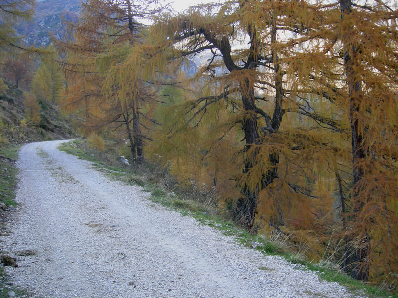 Sette Laghi....escursione del 12/10/2008