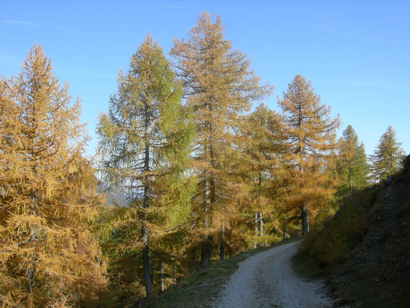 Sette Laghi....escursione del 12/10/2008