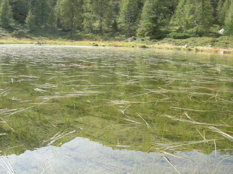 Laghi.......del TRENTINO