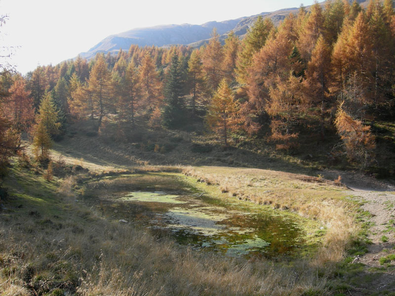 Sette Laghi....escursione del 12/10/2008