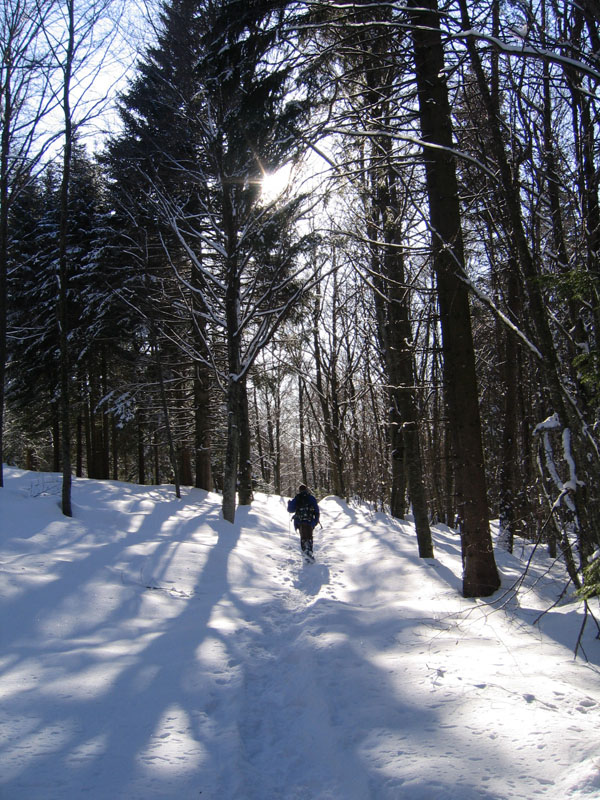 escursione sul Monte Brento....