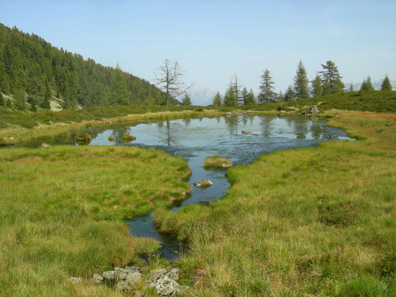 Laghi.......del TRENTINO