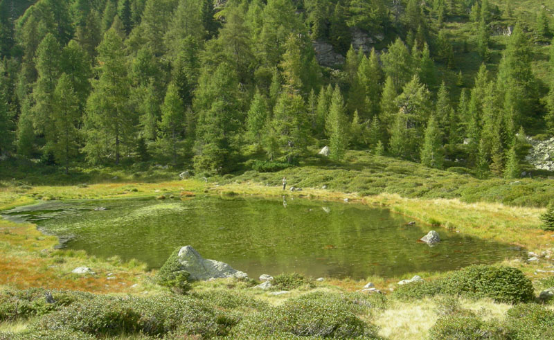 Laghi.......del TRENTINO