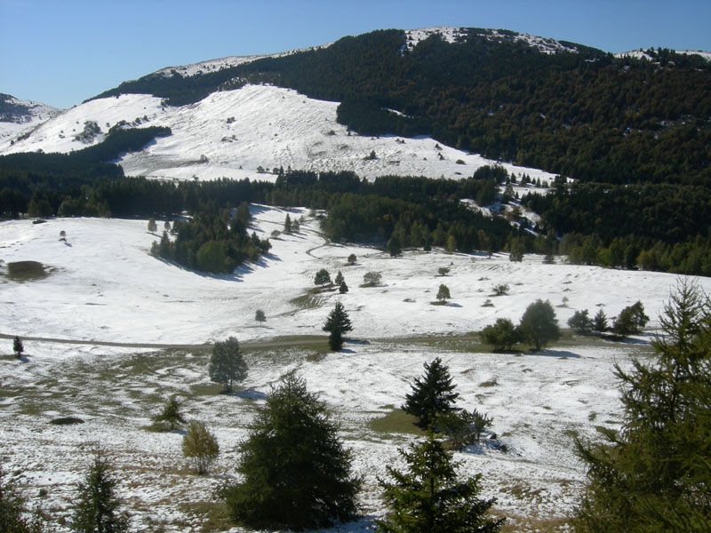 neve....sopra i 1350 m.