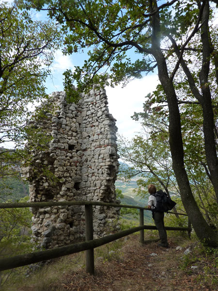 Castelli,Torri e Palazzi.....del Trentino