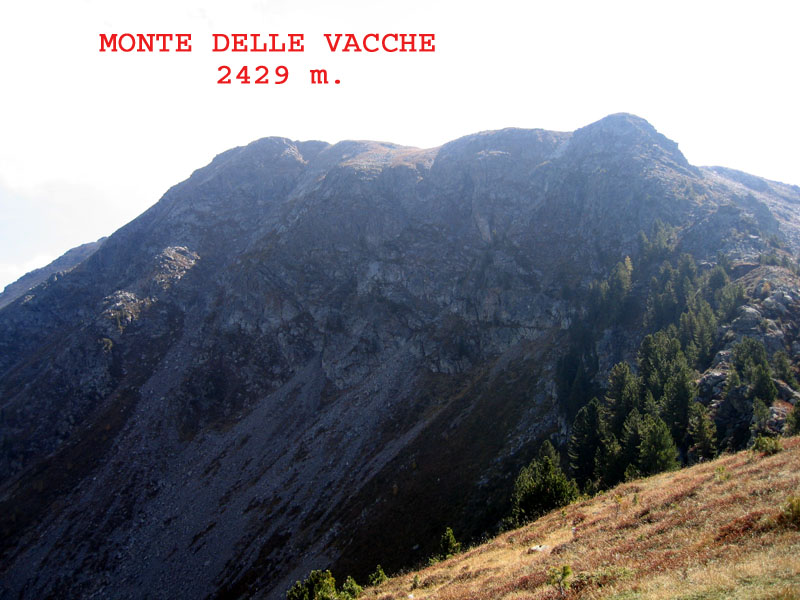 Lago Rodella,M.del Pascolo,Cima della Vacca,Laghi Gelati....