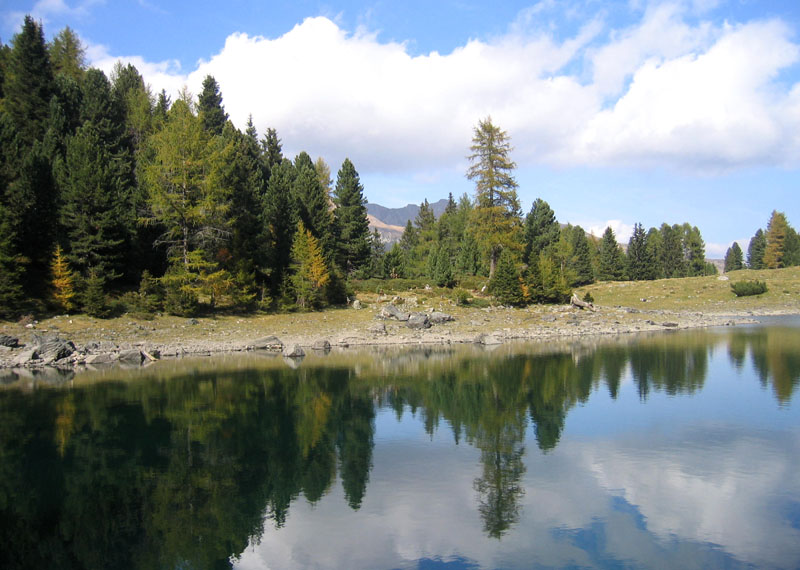 Lago Rodella,M.del Pascolo,Cima della Vacca,Laghi Gelati....