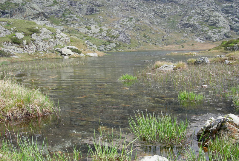 Laghi.......del TRENTINO