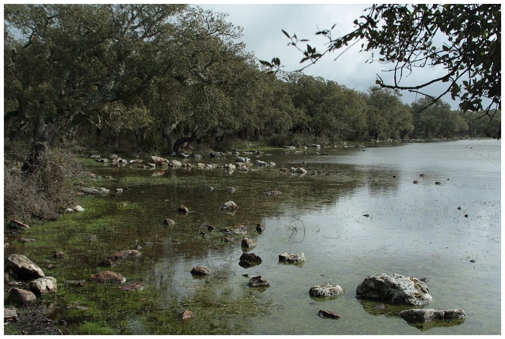 La Giara di Gesturi