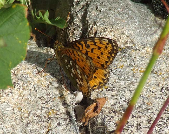 escursione in montagna