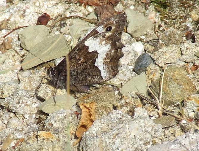 escursione in montagna