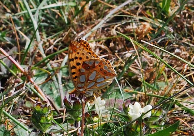 escursione in montagna